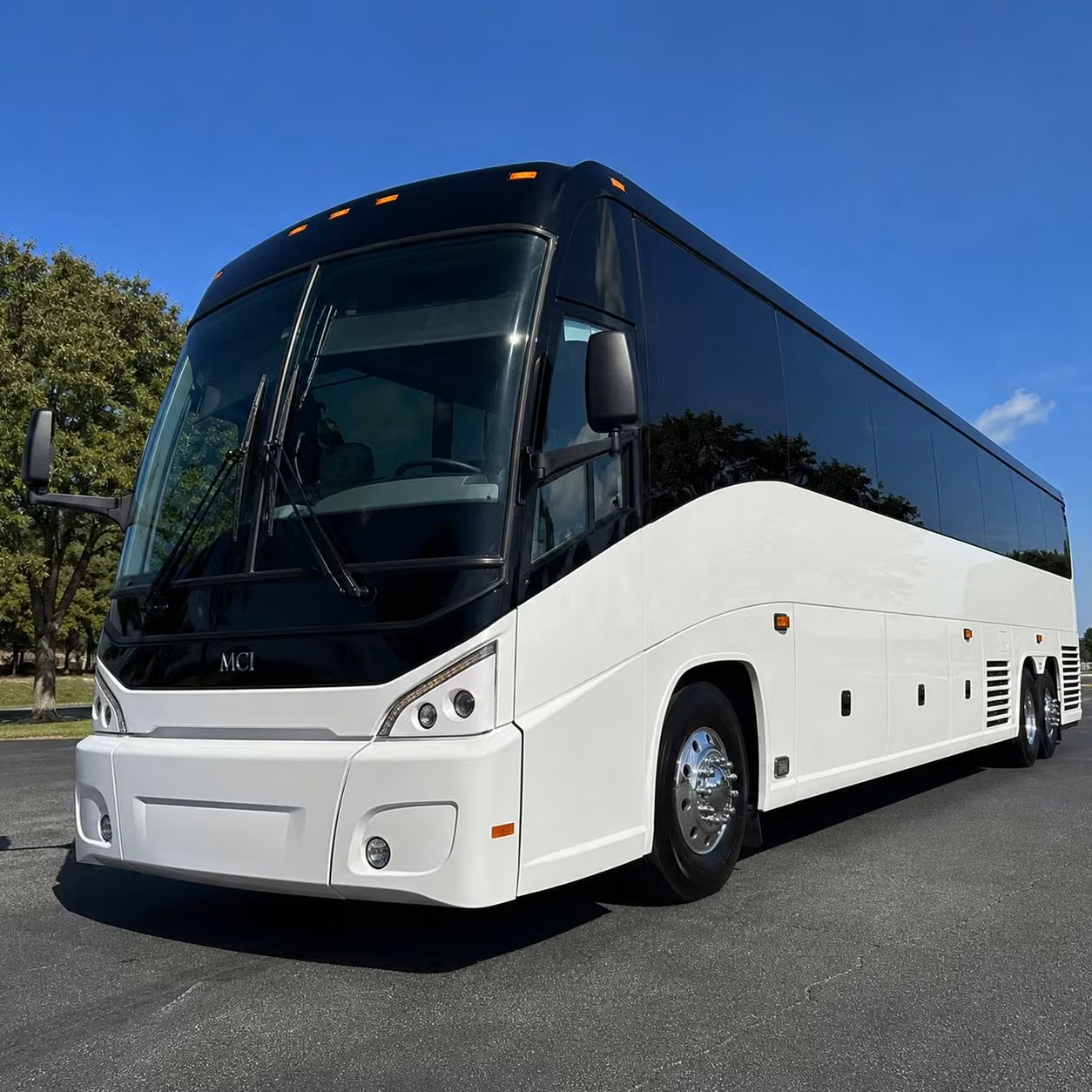 charter buses to stamford s top educational destinations for school groups