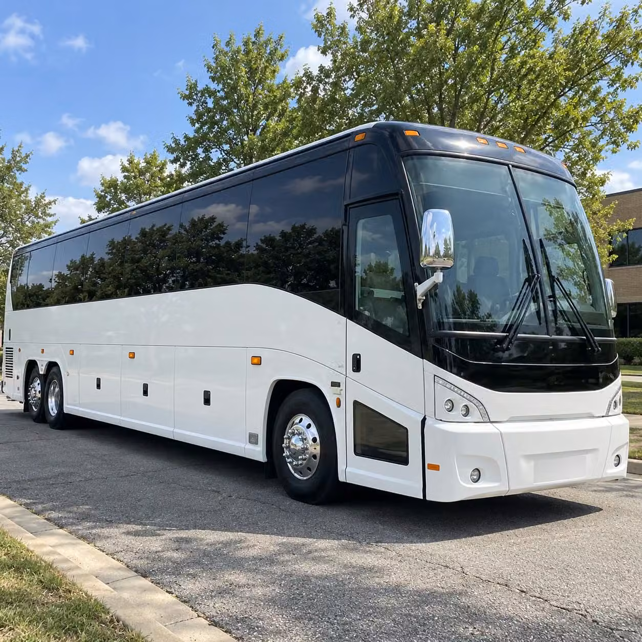 find exactly what your stamford field trip needs from small classes to entire grade levels